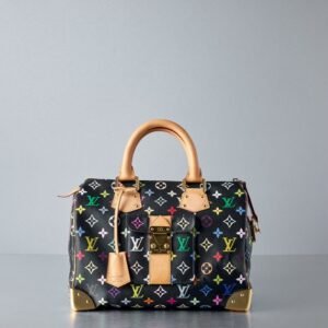 Multicolor Monogram Speedy Boston Bag
