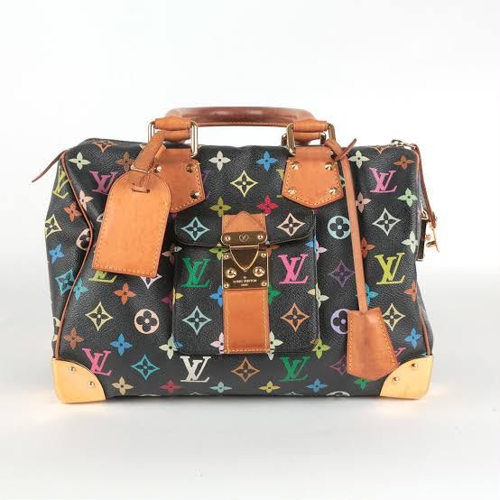 Multicolor Monogram Speedy Boston Bag - Image 2
